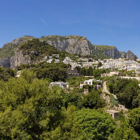 Oliveto Capri