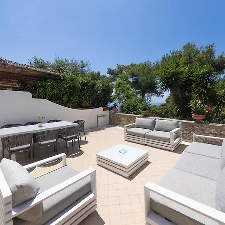 Apartment Oliveto *