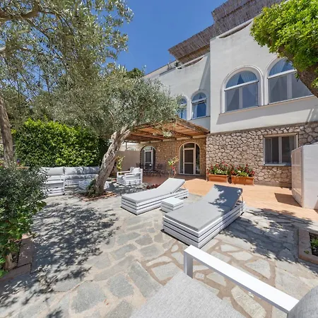 Apartment Oliveto