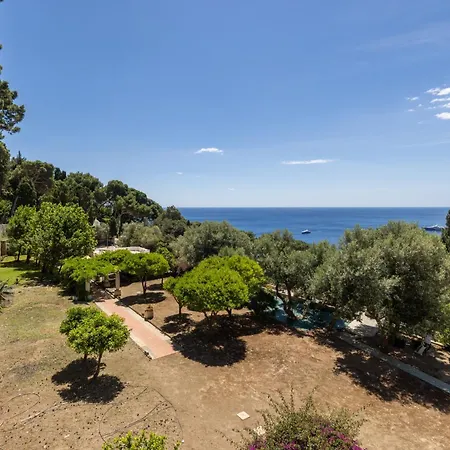 Oliveto Apartment Capri