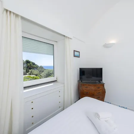Apartment Oliveto *